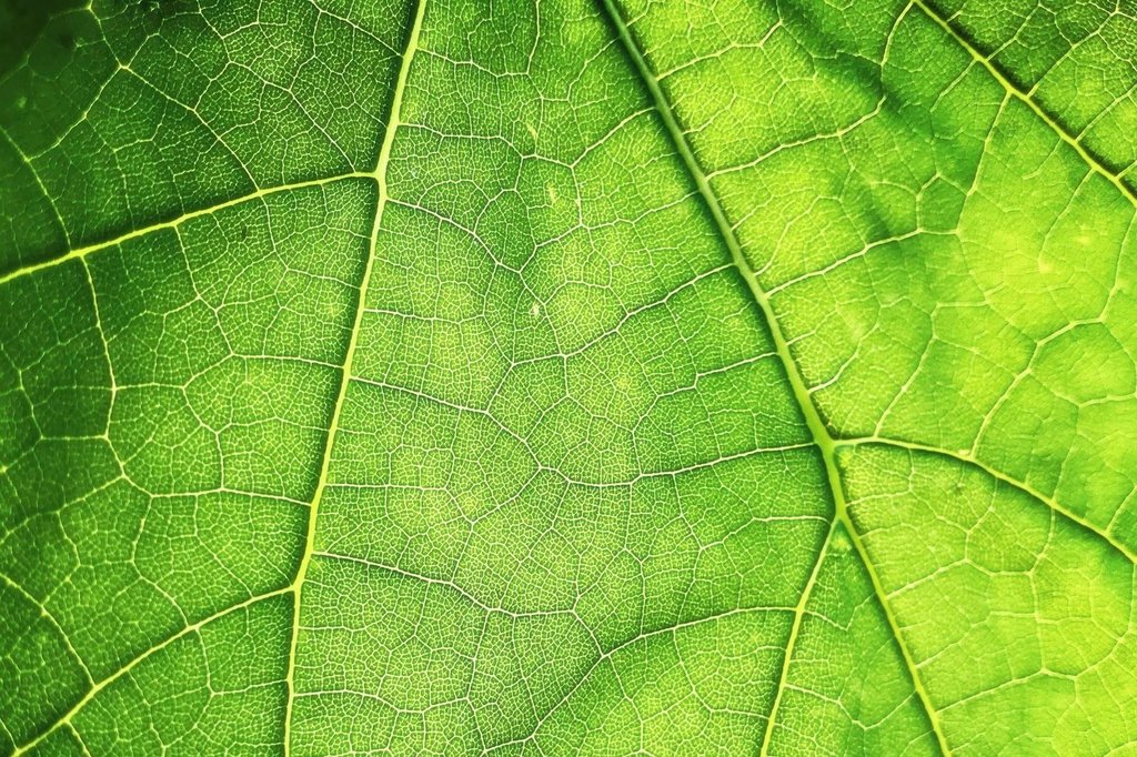 Spring boot thymeleaf crud example dariawan